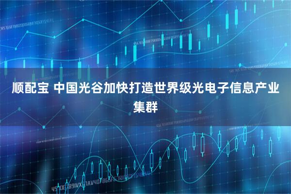顺配宝 中国光谷加快打造世界级光电子信息产业集群