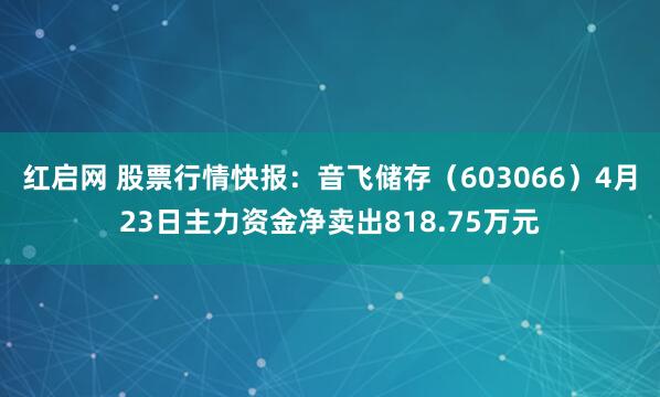 红启网 股票行情快报：音飞储存（603066）4月23日主力资金净卖出818.75万元